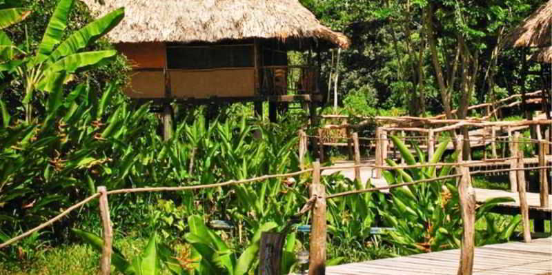 Cotton Tree Lodge San Felipe  المظهر الخارجي الصورة