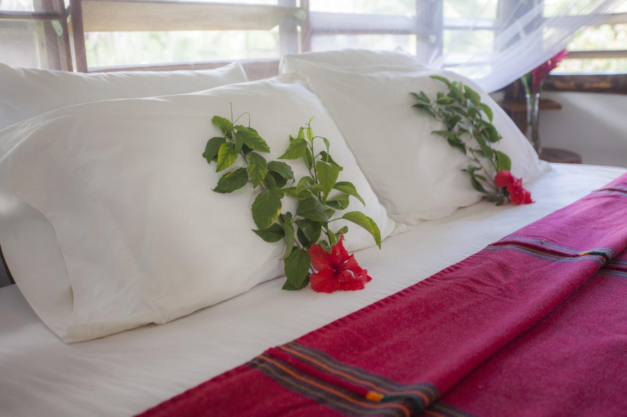Cotton Tree Lodge San Felipe  المظهر الخارجي الصورة